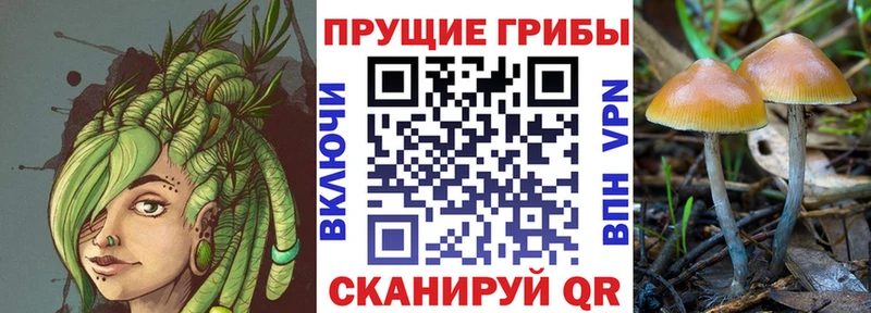 Галлюциногенные грибы мухоморы  Каргополь 
